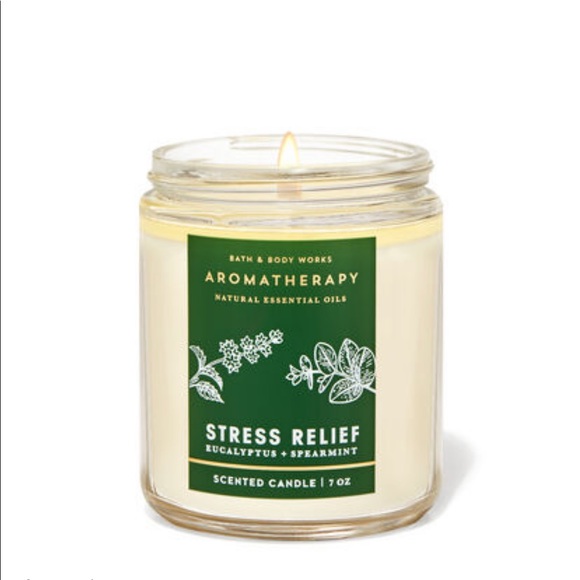 BBW EUCALYPTUS SPEARMINT Hand Soap And Candle - Picture 3 of 4